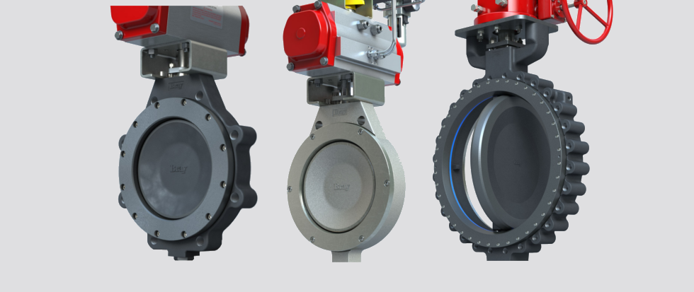 High Performance Butterfly Valve